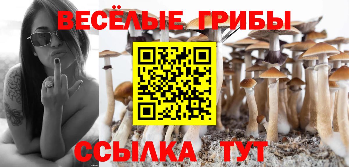 Псилоцибиновые грибы мицелий  Вход с VPN  Строитель  Галлюциногенные грибы Psilocybe 